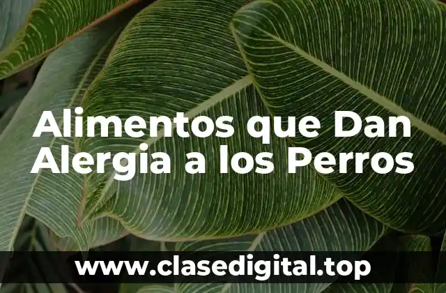 ¿Qué son las Alergias Alimentarias en los Perros?