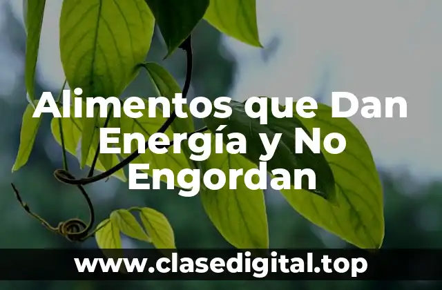 Alimentos que Dan Energía y No Engordan