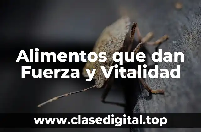 Alimentos que dan Fuerza y Vitalidad