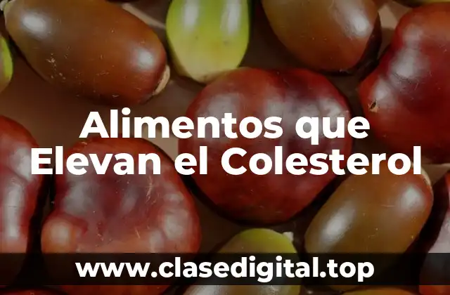 Alimentos que Elevan el Colesterol