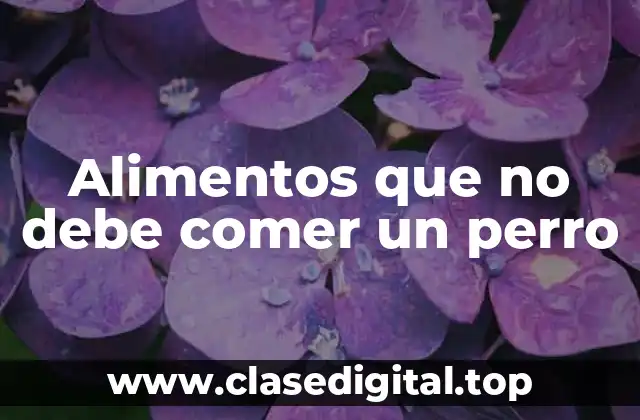 Alimentos que pueden causar problemas de salud en perros