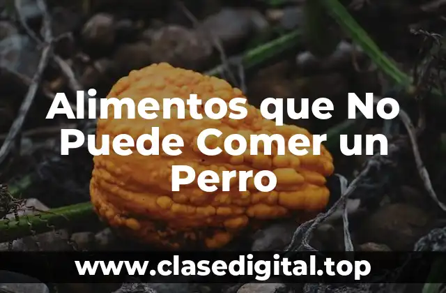 Alimentos que No Puede Comer un Perro
