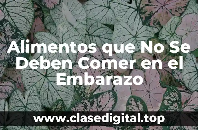 Alimentos que No Se Deben Comer en el Embarazo