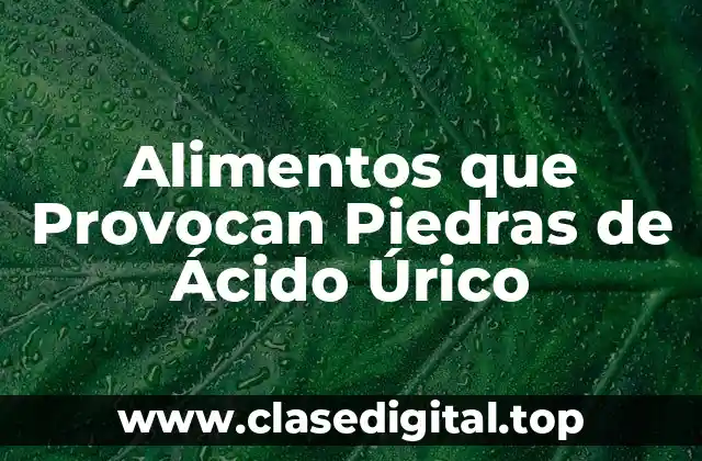 Alimentos que Provocan Piedras de Ácido Úrico