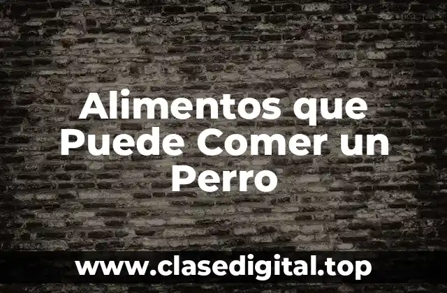 Alimentos que Puede Comer un Perro
