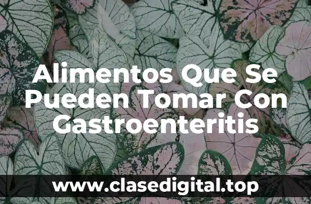 Alimentos Que Se Pueden Tomar Con Gastroenteritis