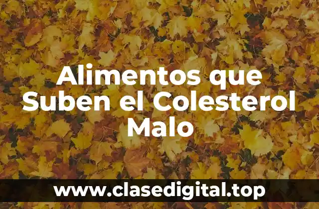 Alimentos que Suben el Colesterol Malo