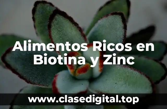 Alimentos Ricos en Biotina y Zinc