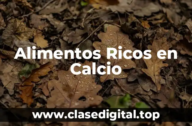 Alimentos Ricos en Calcio