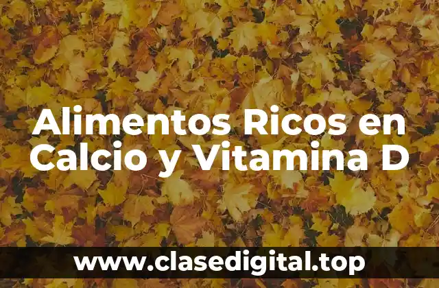 Alimentos Ricos en Calcio y Vitamina D