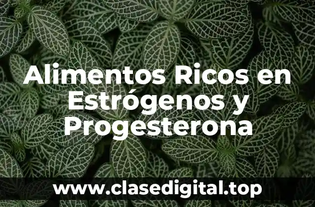 Alimentos Ricos en Estrógenos y Progesterona
