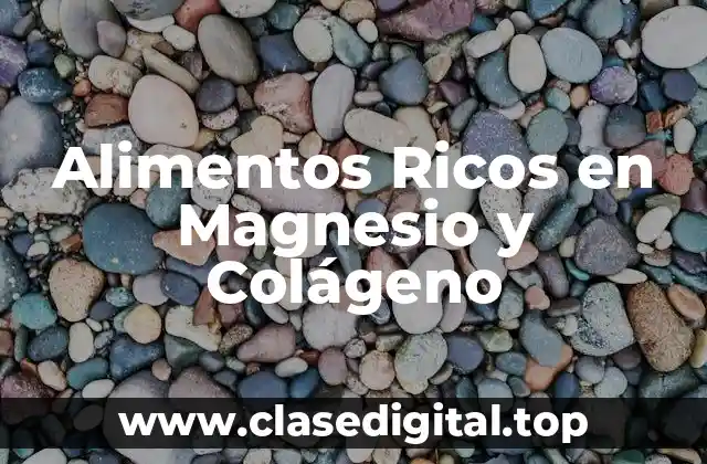 Alimentos Ricos en Magnesio y Colágeno