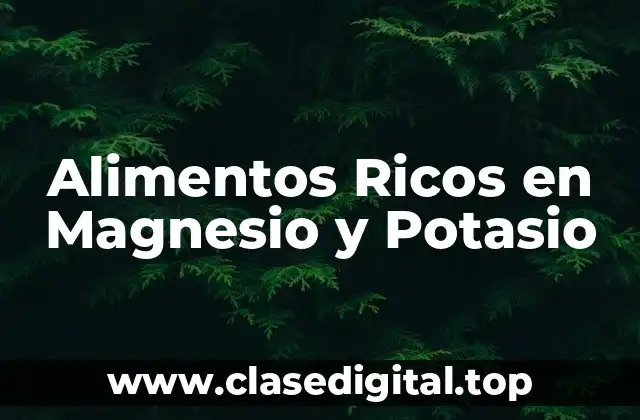 Alimentos Ricos en Magnesio y Potasio