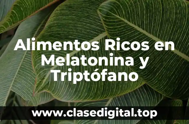 Alimentos Ricos en Melatonina y Triptófano