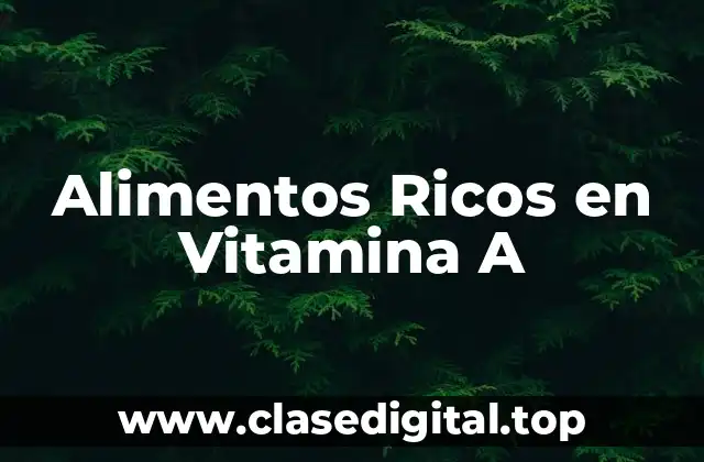Alimentos Ricos en Vitamina A