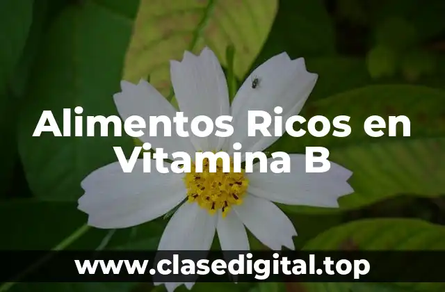 Alimentos Ricos en Vitamina B