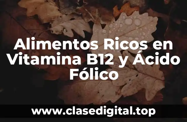¿Por qué son Importantes la Vitamina B12 y el Ácido Fólico?