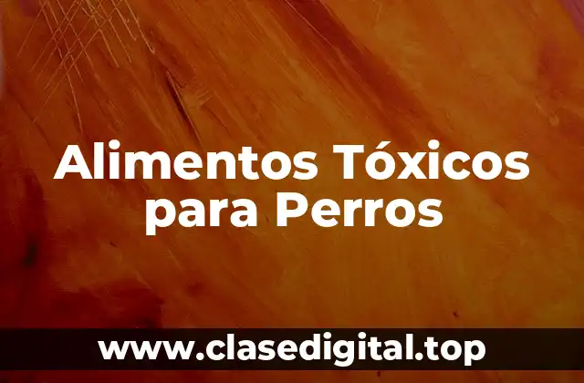 Alimentos Tóxicos para Perros