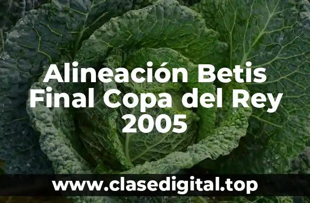 La Preparación del Betis para la Final de la Copa del Rey 2005