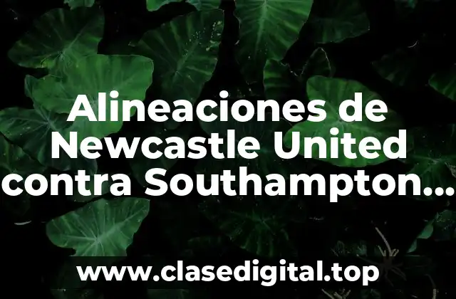 Historia de los Partidos entre Newcastle United y Southampton FC