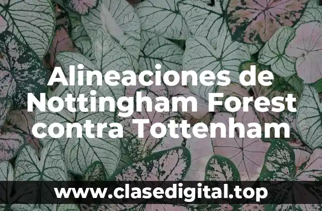 Historia de los Enfrentamientos entre Nottingham Forest y Tottenham