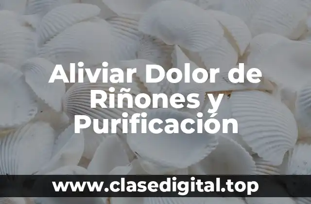 Aliviar Dolor de Riñones y Purificación