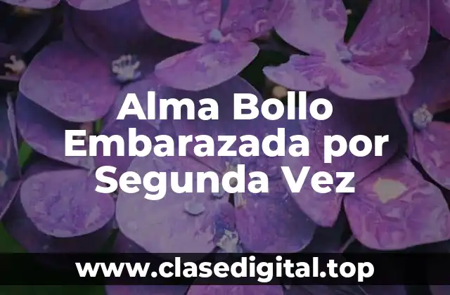 Alma Bollo Embarazada por Segunda Vez