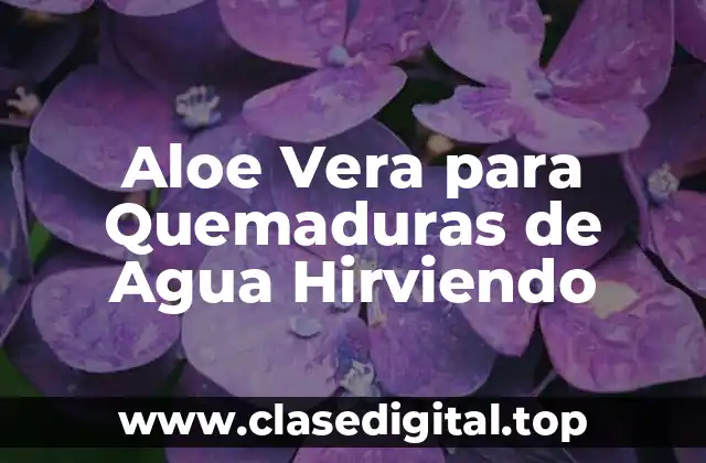 Aloe Vera para Quemaduras de Agua Hirviendo