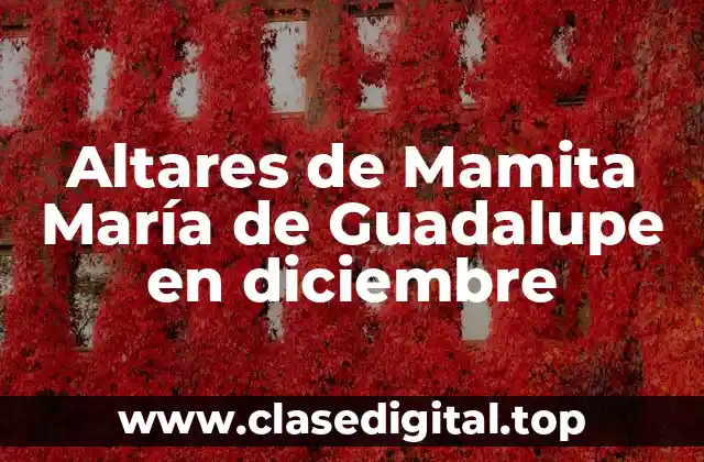 Altares de Mamita María de Guadalupe en diciembre