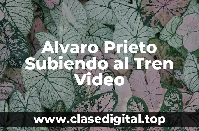 Alvaro Prieto Subiendo al Tren Video
