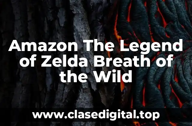 Amazon The Legend of Zelda Breath of the Wild