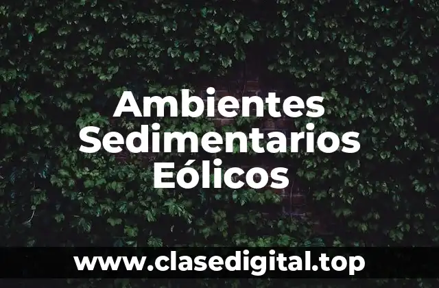 Ambientes Sedimentarios Eólicos