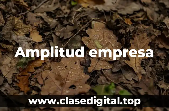 Amplitud empresa