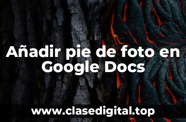 Añadir pie de foto en Google Docs