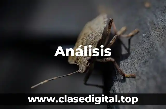 Análisis