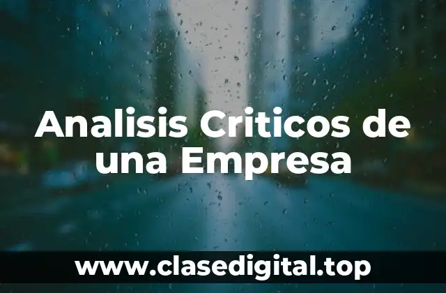 Analisis Criticos de una Empresa