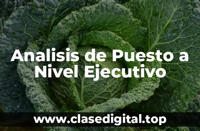 Analisis de Puesto a Nivel Ejecutivo