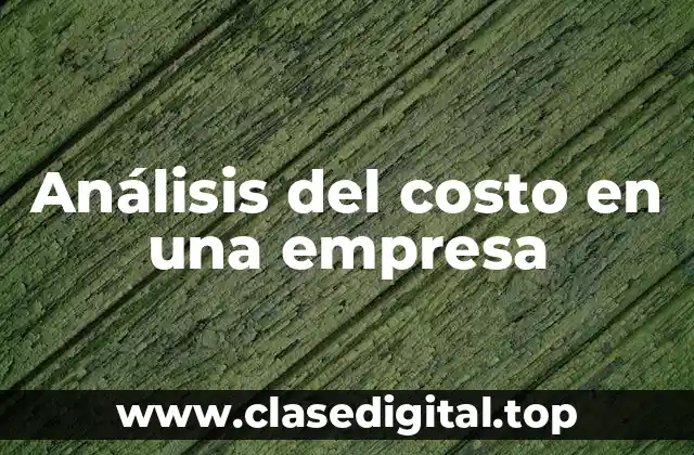Análisis del costo en una empresa