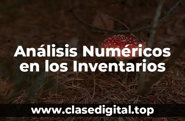 Análisis Numéricos en los Inventarios