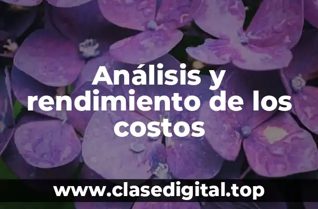 Análisis y rendimiento de los costos