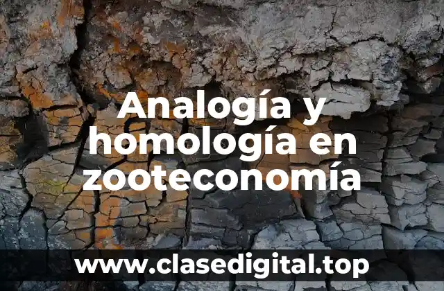 Analogía y homología en zooteconomía