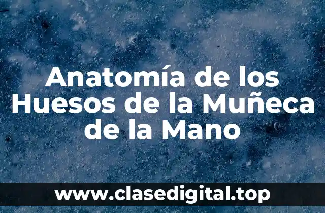 Anatomía de los Huesos de la Muñeca de la Mano