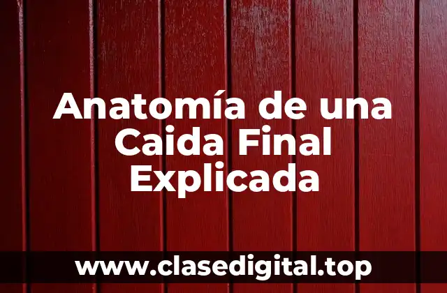 Anatomía de una Caida Final Explicada