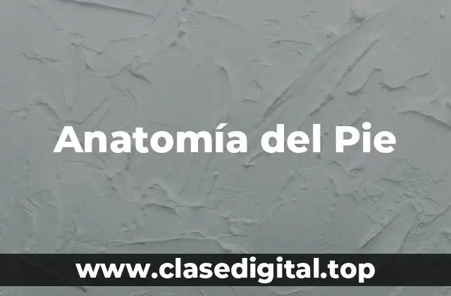 Anatomía del Pie