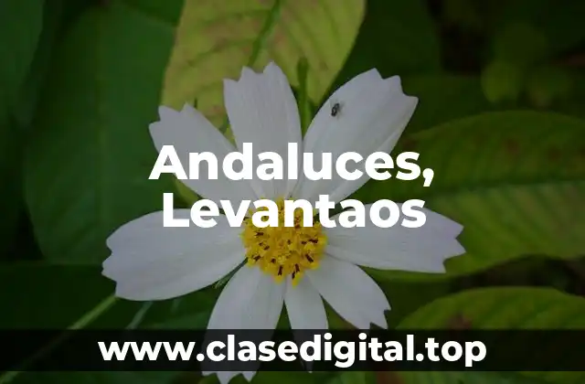 El Contexto Histórico de la Lucha Campesina en Andalucía