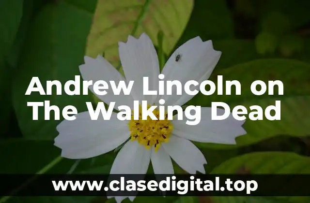 Andrew Lincoln on The Walking Dead