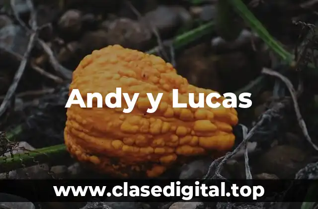 Los inicios de Andy y Lucas