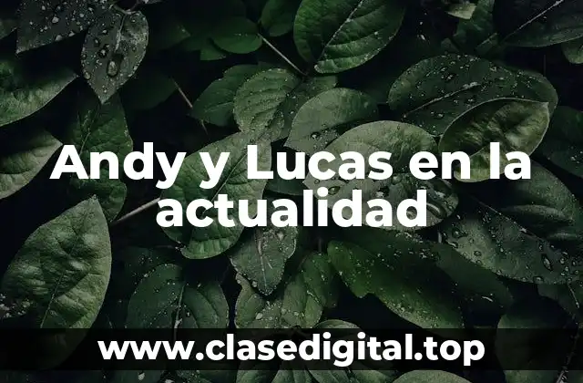 Andy y Lucas en la actualidad