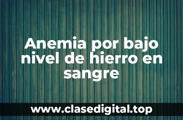 Anemia por bajo nivel de hierro en sangre