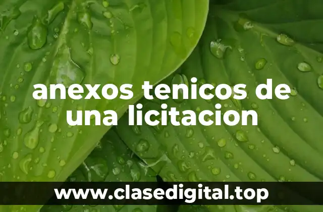 anexos tenicos de una licitacion